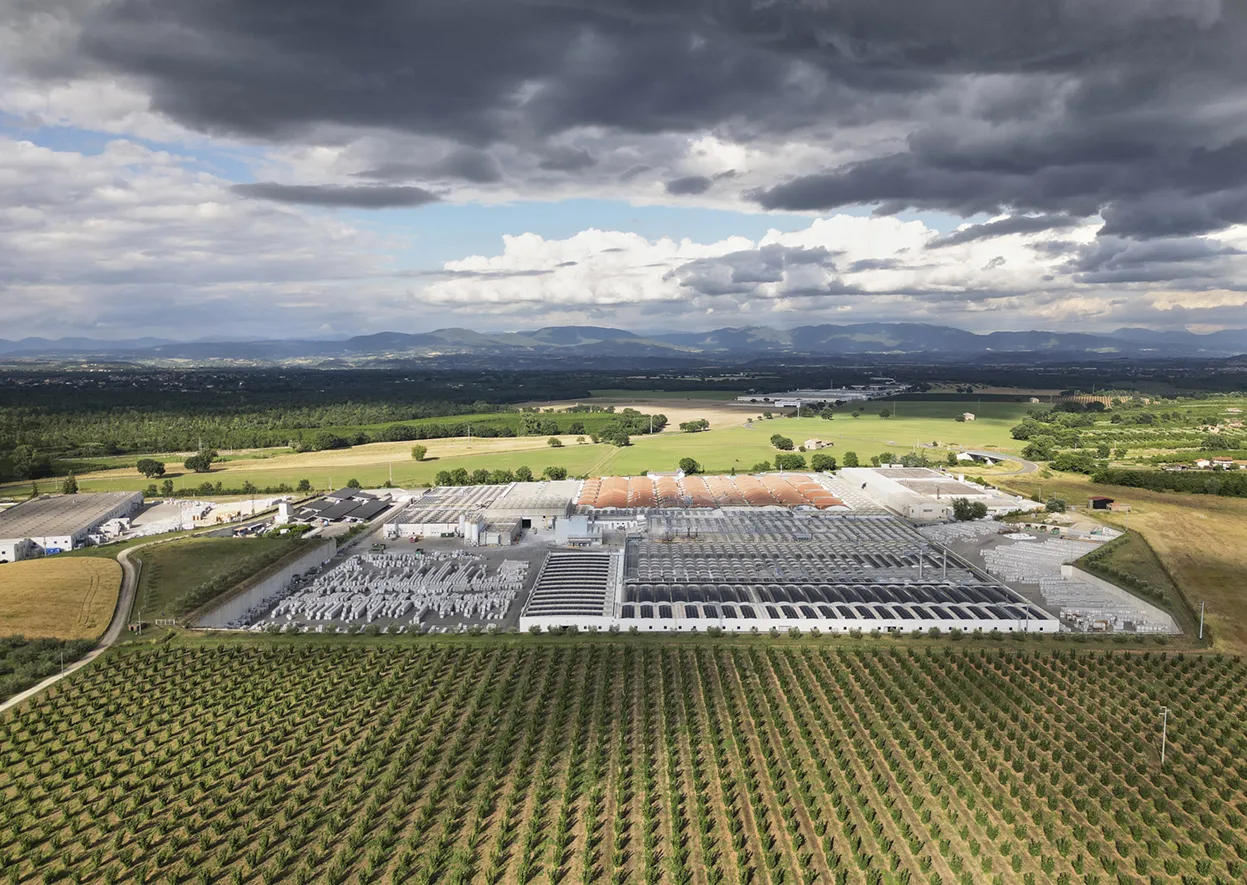 Итальянская сантехника Catalano