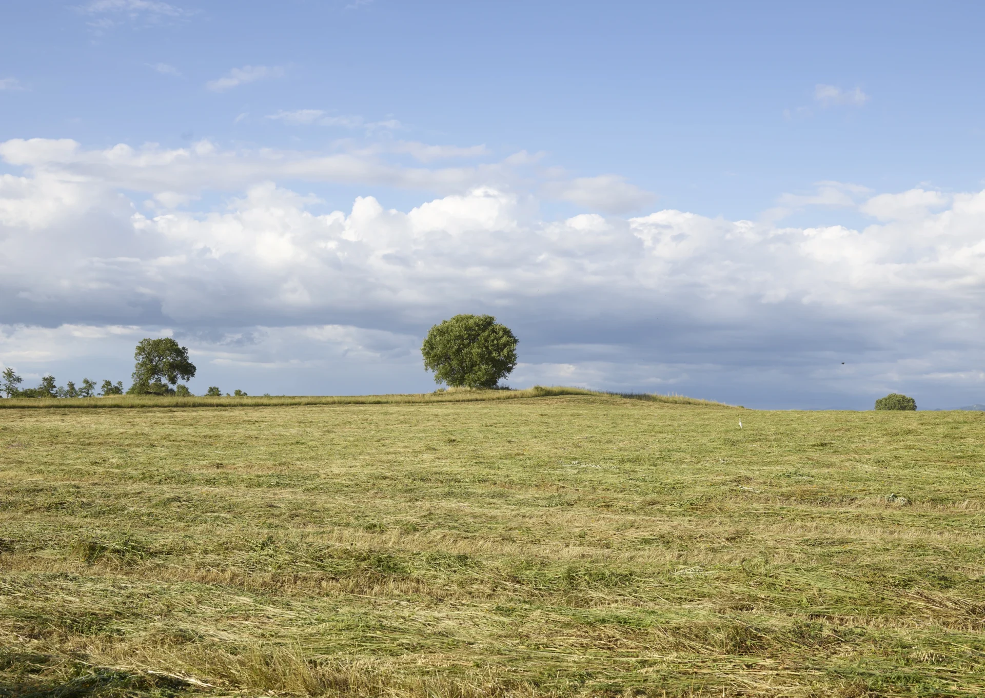 Экологичное производство Catalano